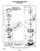 Pump and motor