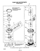 Pump and motor
