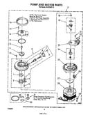 Pump and motor