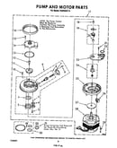 Pump and motor