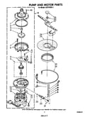Pump and motor