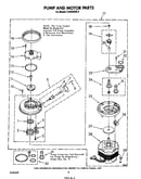 Pump and motor