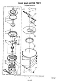 Pump and motor