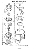Pump and motor