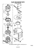 Pump and motor