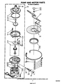 Pump and motor