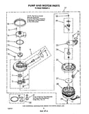 Pump and motor