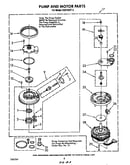 Pump and motor