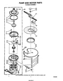 Pump and motor