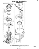 Pump and motor