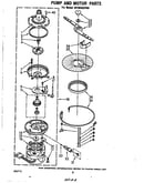 Pump and motor