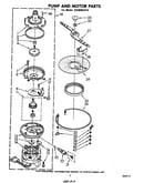 Pump and motor