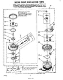 Pump and motor