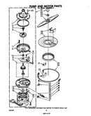 Pump and motor