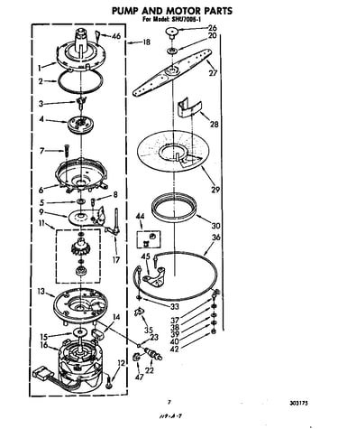 Pump and motor