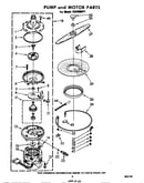 Pump and motor