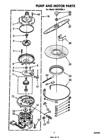 Pump and motor