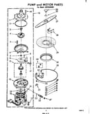 Pump and motor