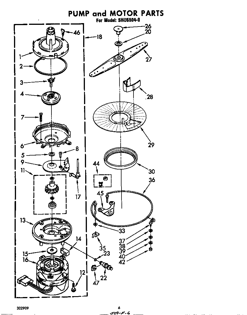 Pump and motor