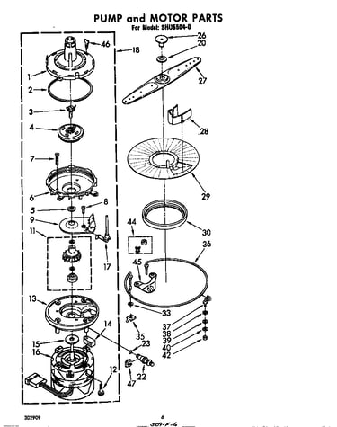 Pump and motor