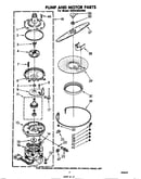Pump and motor
