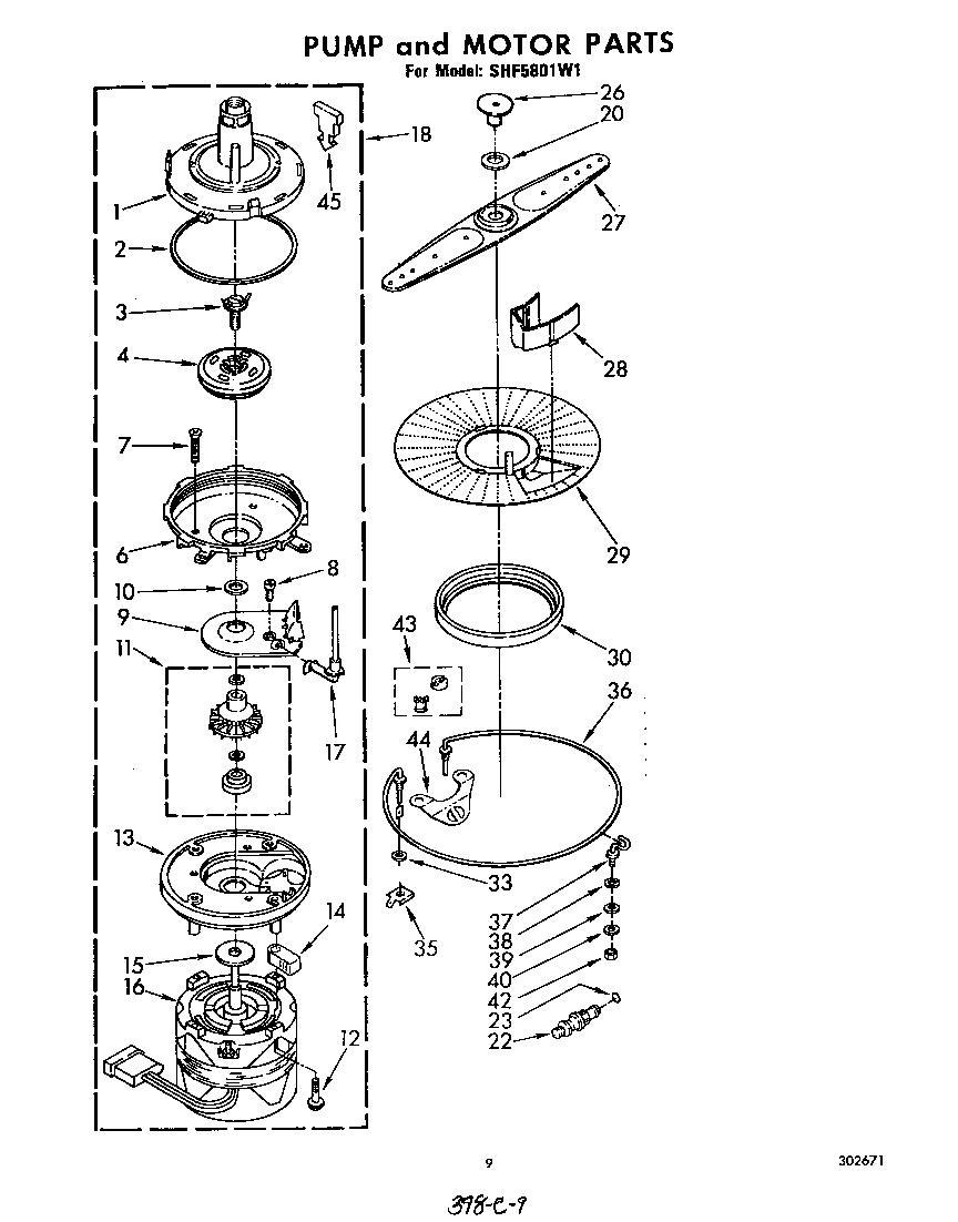 Pump and motor