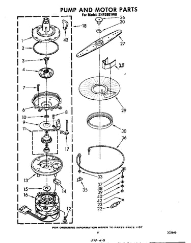 Pump and motor