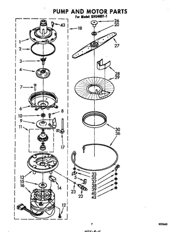 Pump and motor