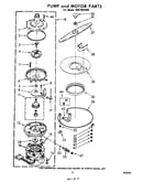 Pump and motor