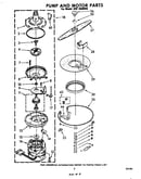 Pump and motor
