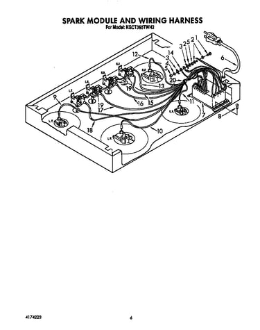 Spark module and wiring harness