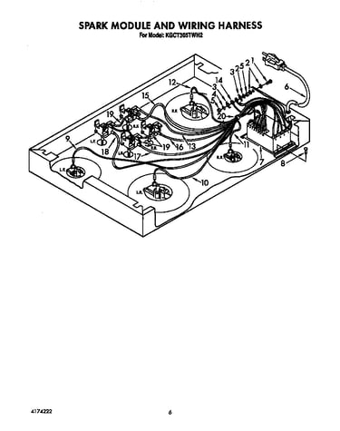 Spark module and wiring harness