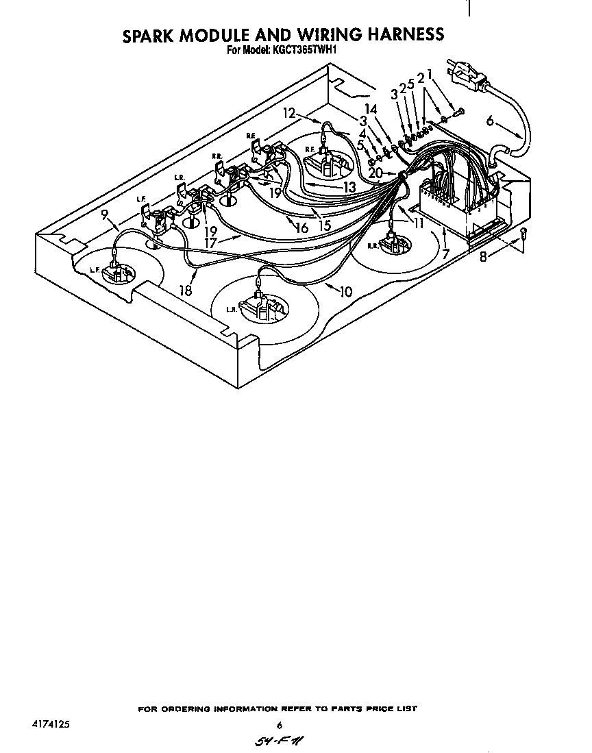 Spark module and wiring harness