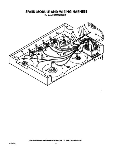 Spark module and wiring harness
