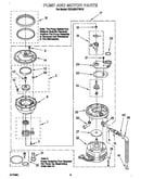 Pump and motor