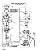 Pump and motor