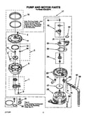 Pump and motor