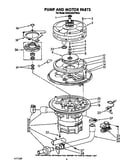 Pump and motor