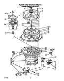 Pump and motor