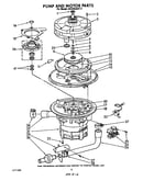 Pump and motor