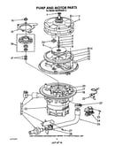 Pump and motor
