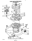Pump and motor