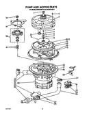 Pump and motor