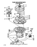 Pump and motor