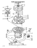Pump and motor