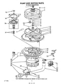Pump and motor