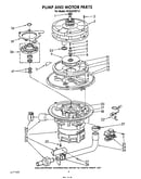 Pump and motor