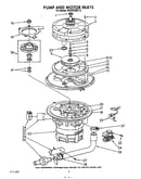 Pump and motor