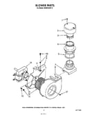 Blower