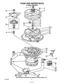 Pump and motor